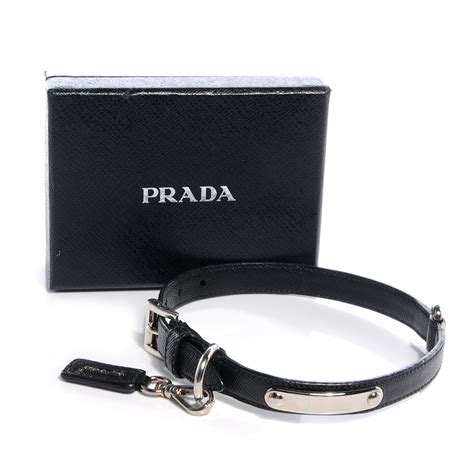 collare prada cane|prada dog accessories.